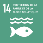 Bescherming van flora en fauna onder water